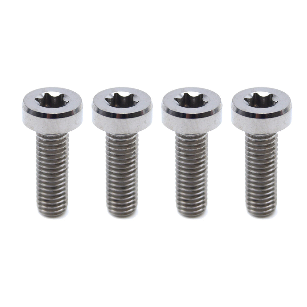 GR5 SCREW M8X25 TORX45 PK4, TITANIUM - KTM 0035080256, / 0035080256S