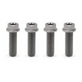 TITANIUM GR5 BOLT M8x25mm DUAL DRIVE T40 0025080256 KTM HUSQVARNA GASGAS PACK OF 4