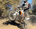 MOLECULE EXTREME UHMW SKIDPLATE 2018-2026 KTM 790/890 Skidplate