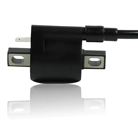 IGNITION COIL & CAP YAMAHA PW50 TT125 YFM 250 350 400 450 3KJ-82310-10-00 3FA-82310-00-00
