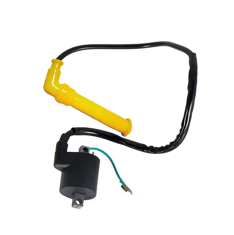 IGNITION COIL AND SPARK PLUG CAP 2003-2005 HONDA RINCON TRX650 30500-HN8-003