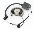 STATOR HT IGNITION COIL ROTOR FLYWHEEL 02-11 KTM 50 SX MINI BIKE 45139004000 45139005100