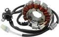 STATOR COIL 2014-2018 YAMAHA YZ250F YZ450F 1SL-81410-00-00 1SL-81410-01-00