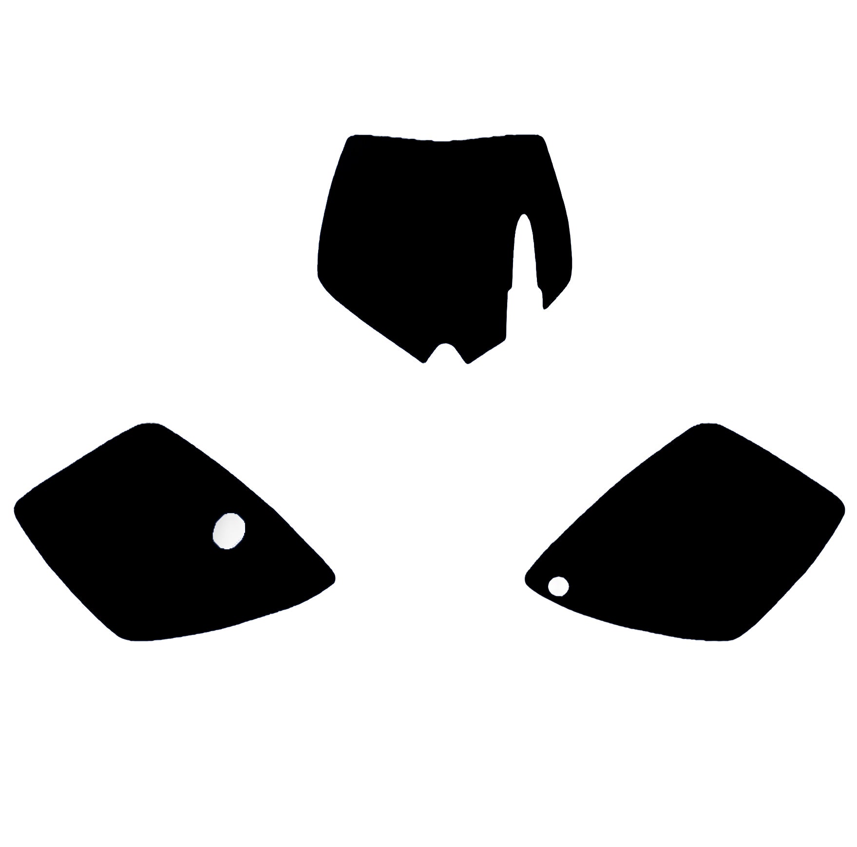KTX SX 65 02-08 BLACK BACKGROUNDS, BLACKBIRD 3511/20