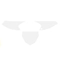 2019-24 YZ 65 BACKGROUNDS, WHITE BLACKBIRD 3229/10
