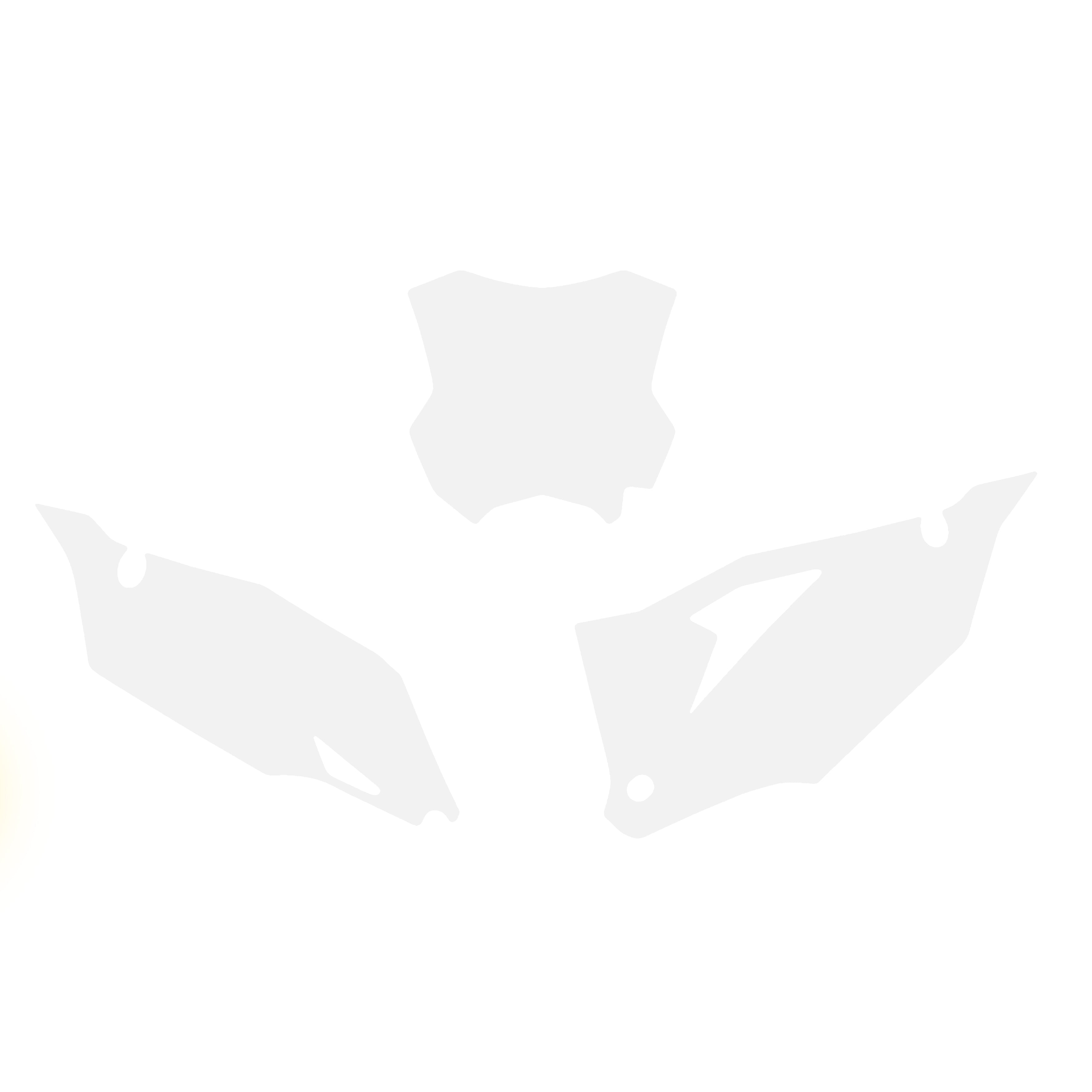 2019-23 KXF 450 BACKGROUNDS, WHITE BLACKBIRD 3420/10