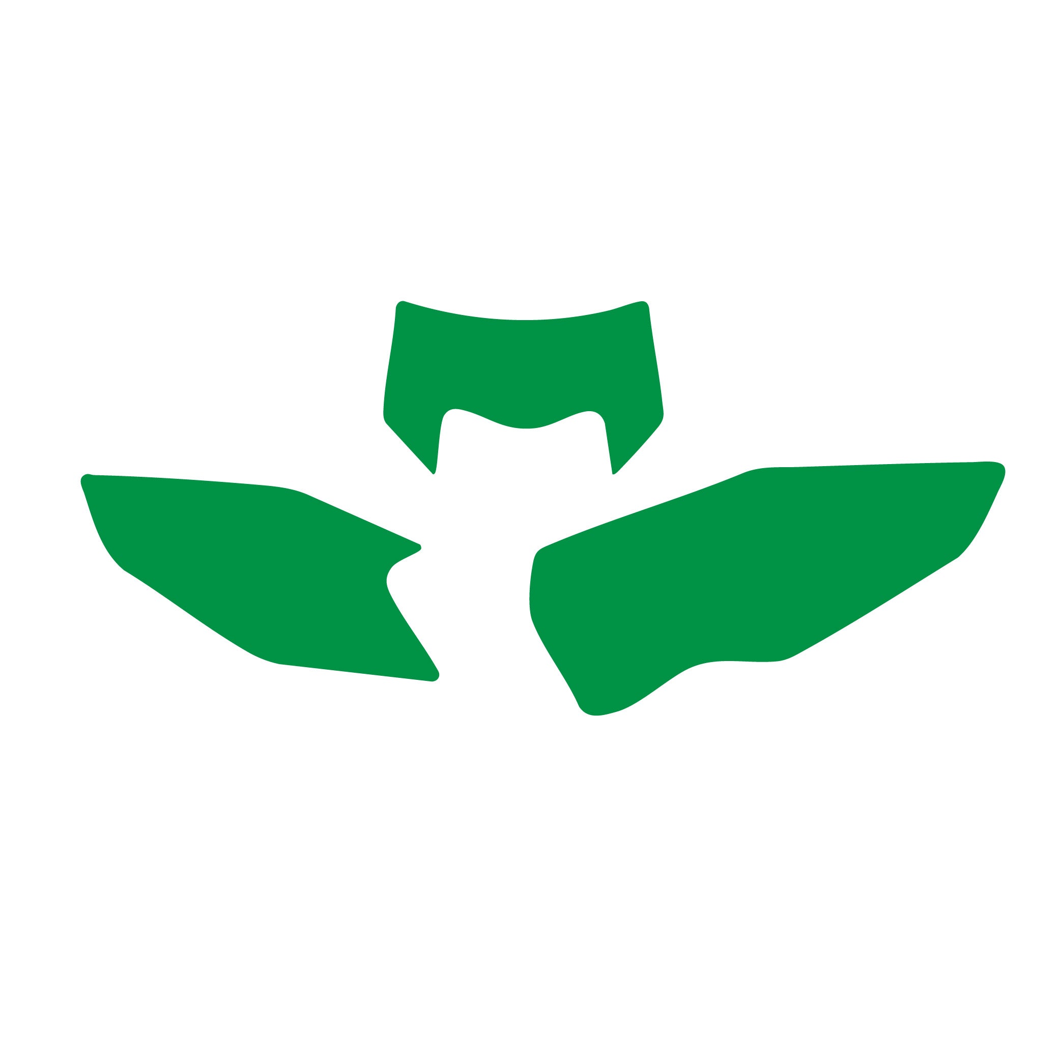 15-16 TE/FE HUSQVARNA, GREEN BACKGROUNDS, BLACKBIRD 3621/30