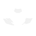 2012-15 WRF450 BACKGROUNDS, BLACKBIRD 3221 /10