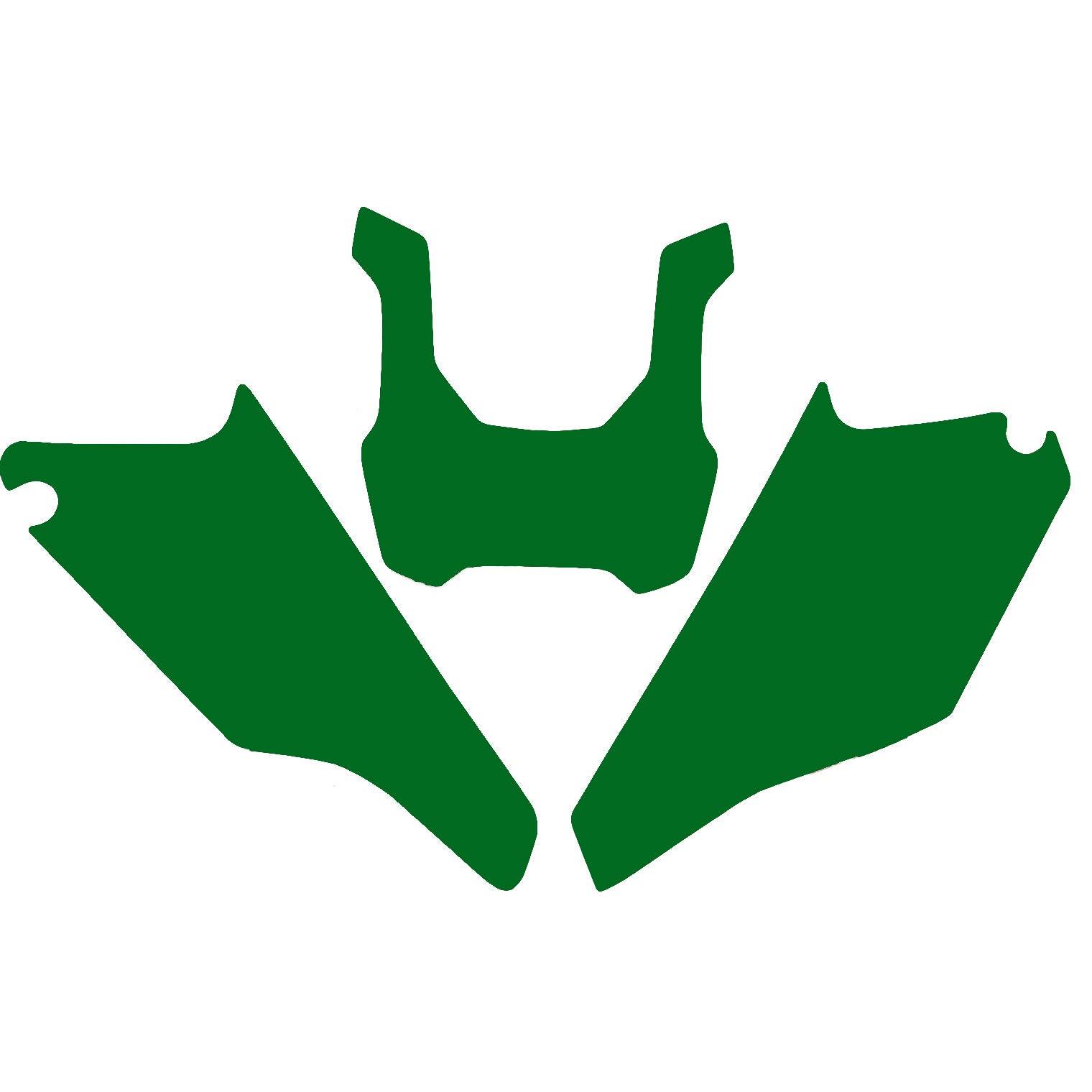 TRIUMPH TF 250X 24-25 GREEN ENDURO PRE CUT, BLACKBIRD 3H01/30