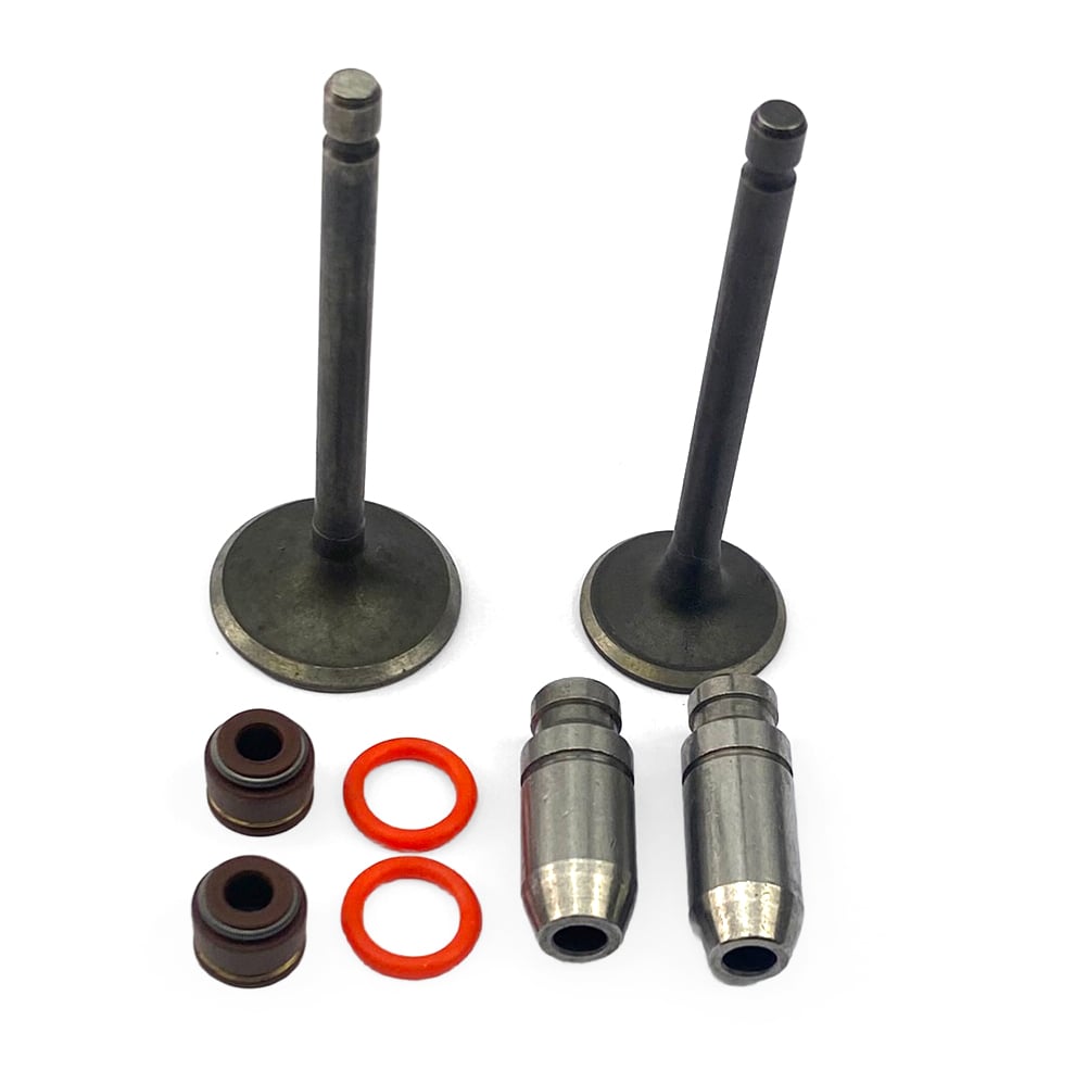 VALVES GUIDE KIT YAMAHA YBR 125 JYM 5VL ENGINE – SMXOFFROAD Ltd