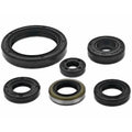 ENGINE OIL SEAL SET KX 450 19-22, PSYCHIC MX-09240 822379 P400250400068 KAWASAKI