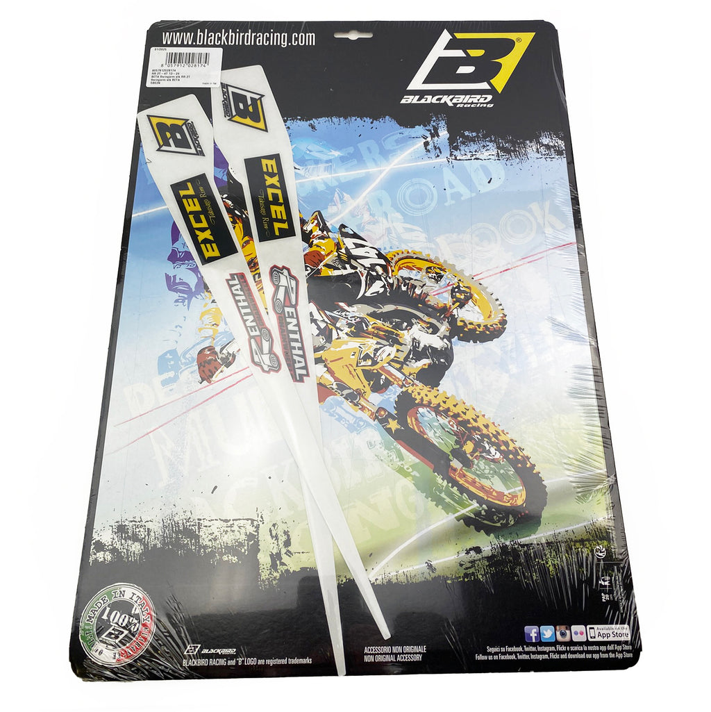 BETA RR 2T-4T 2013-25, SWINGARM DECALS, BLACKBIRD 5B03N