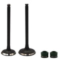 Intake & Exhaust Valve Stem Yamaha TT-R250 TTR250 TTR 250