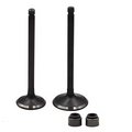 VALVE SET EXHAUST & INTAKE YAMAHA XT250 YFB250 YFM 250 RAPTOR 5XT-12121-00-00 5H0-12111-02-00