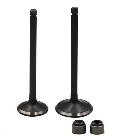 VALVE SET EXHAUST & INTAKE YAMAHA XT250 YFB250 YFM 250 RAPTOR 5XT-12121-00-00 5H0-12111-02-00