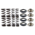 VALVE SPRING SET YAMAHA ATV 700, KIBBLEWHITE 80-80410, RACING SPRING KIT