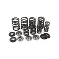 VALVE SPRING SET LTR 450 06-09, KIBBLEWHITE 60-60280, RACING SPRING KIT