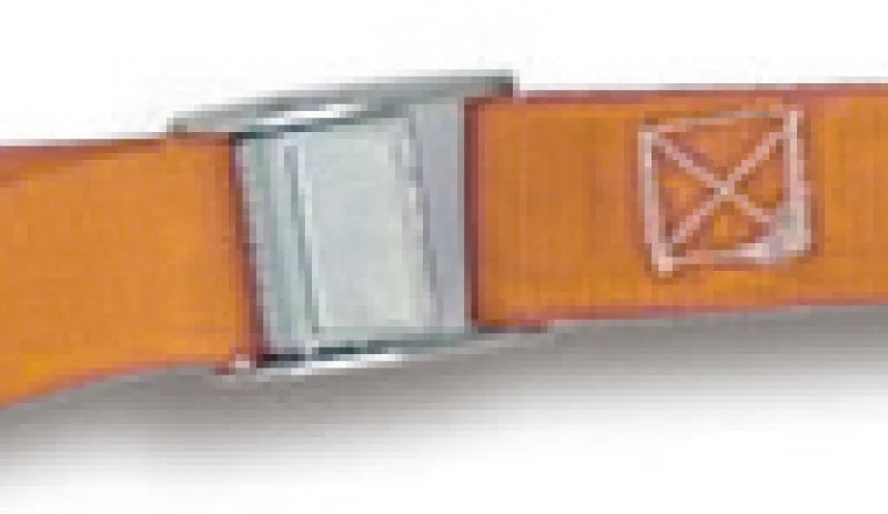 Cam Buckle Straps 200kg High-Grade Polypropylene 2.5m - Robur 8188F 2,5
