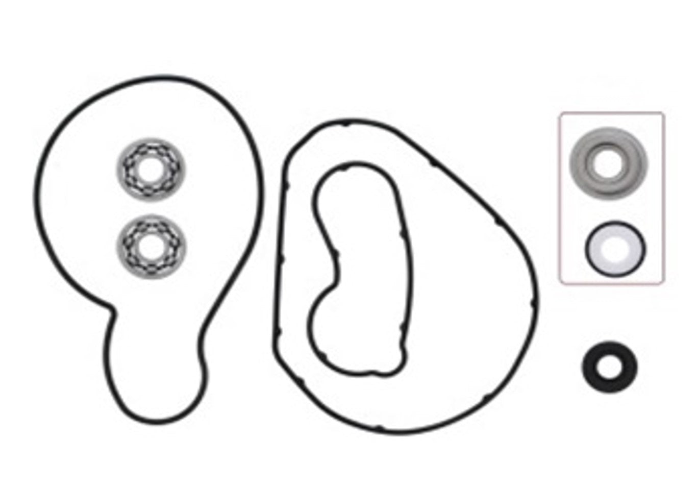 WATER PUMP REPAIR KIT WITH BEARINGS 721317