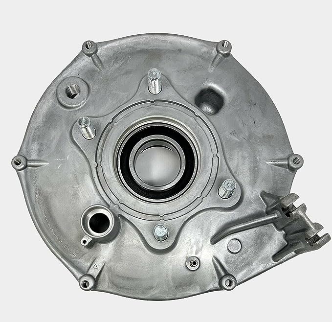 Rear Brake Backing Plate, Bearing, Seals, and Spring Kit Honda Fourtrax TRX 300 FW 98-00