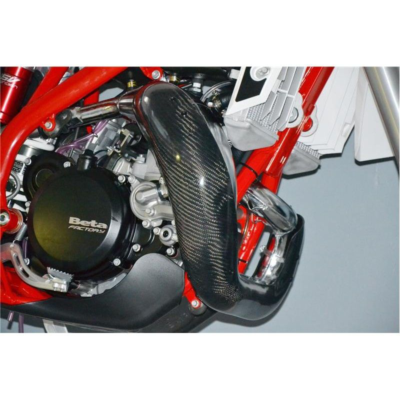PRO CARBON EXHAUST GUARD