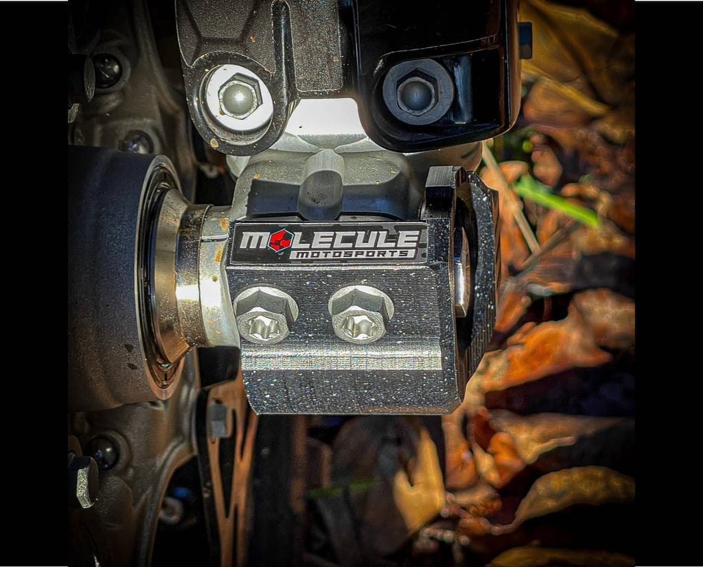 Molecule Fork Lug Guards