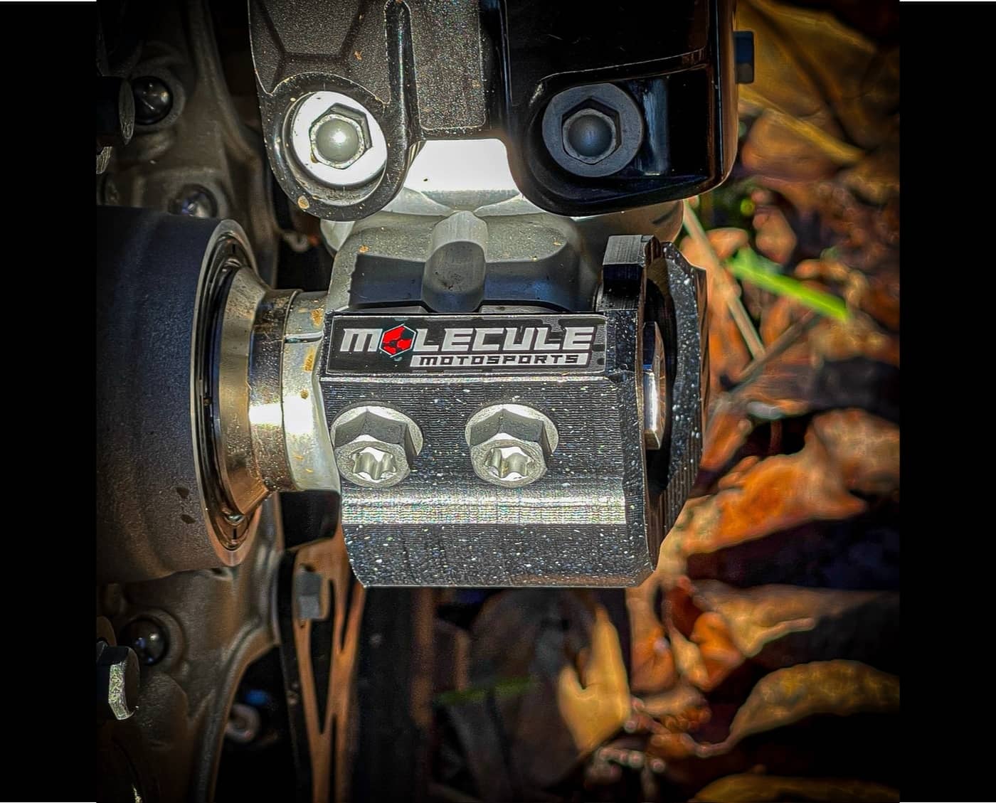 Molecule Fork Lug Guards