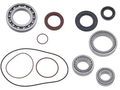 DIFFERENTIAL BEARING & SEALS KIT REAR CF MOTO C FORCE