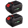 20V 6Ah BATTERY PACK LITHIUM SV20, 2 BATTERIES