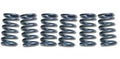 CLUTCH SPRING SET/6 EBC CSK080