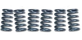 CLUTCH SPRING SET/6 EBC CSK080