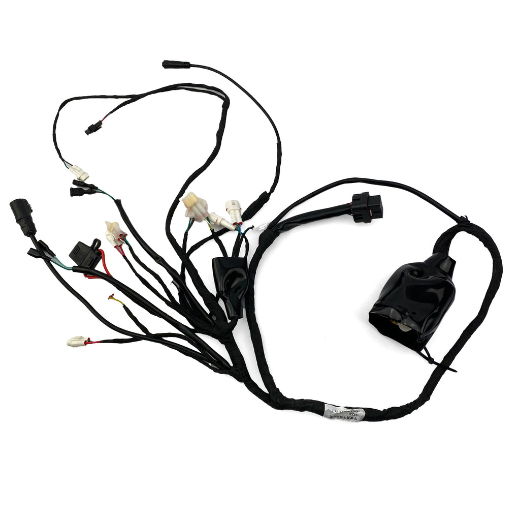 ERIDE PRO LE1 MAIN WIRING HARNESS LOOM ASSEMBLY