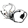 ERIDE PRO LE1 MAIN WIRING HARNESS LOOM ASSEMBLY