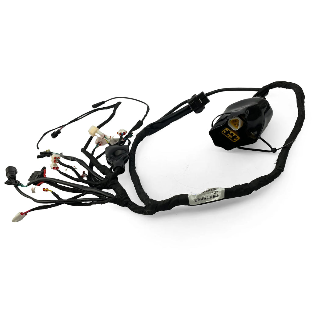 ERIDE PRO SS 2.0 3.0 MAIN WIRING HARNESS LOOM ASSEMBLY WITH BT E7015