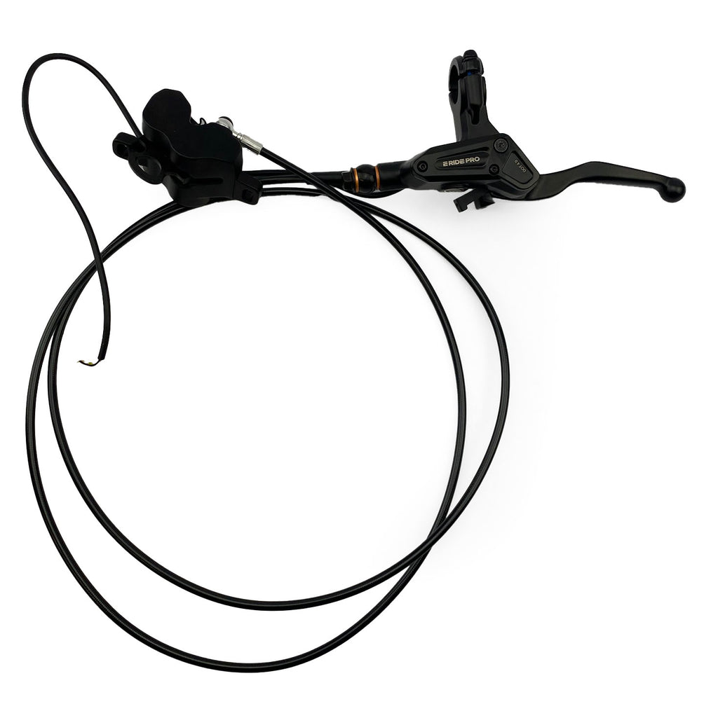 E RIDE PRO L1E REAR BRAKE MASTER CYLINDER AND CALIPER ASSEMBLY