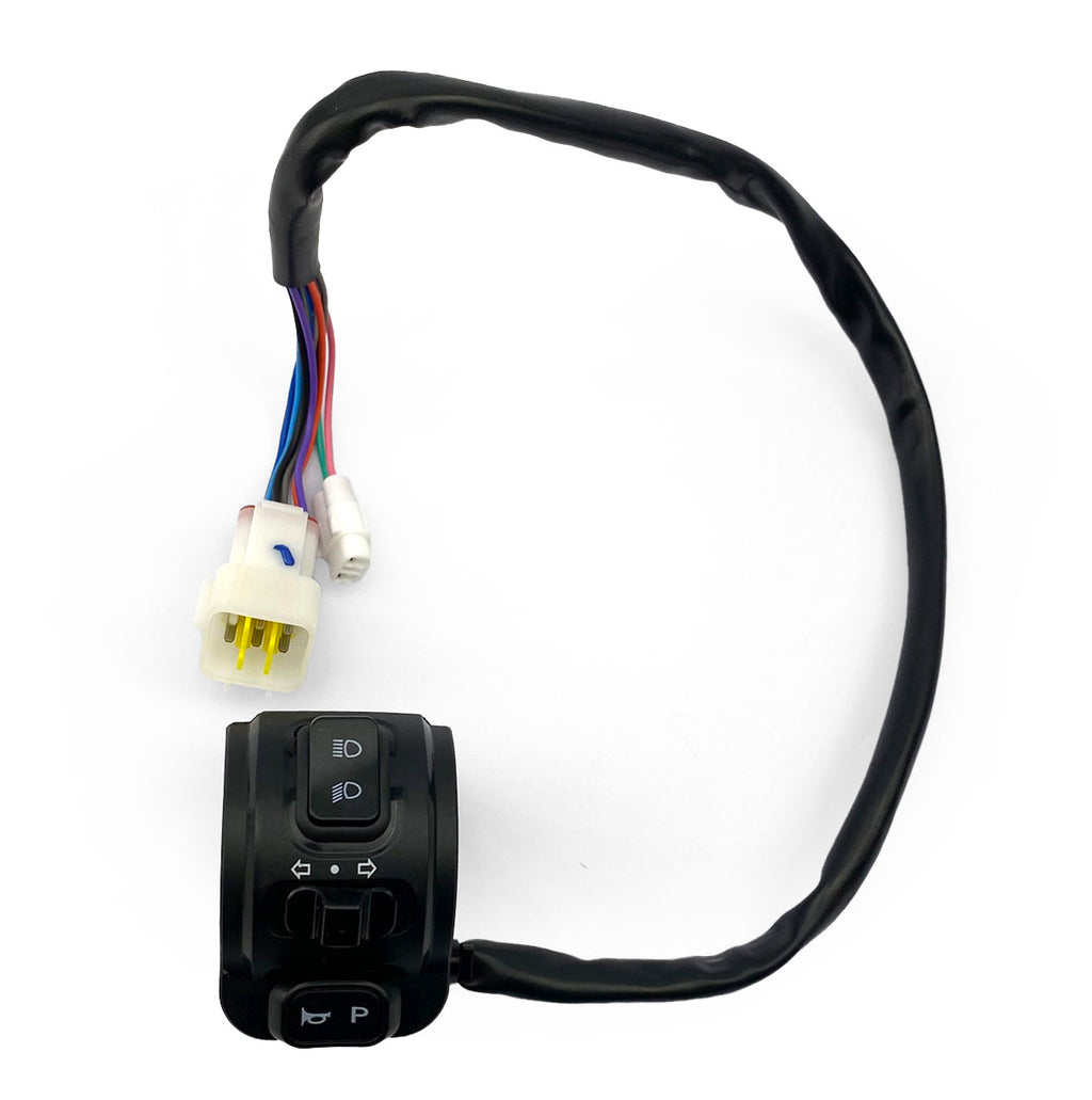 E RIDE PRO L1E CONTROL SWITCH