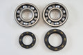 MAIN BEARING AND SEAL KIT 81-83 HONDA CR 250 450 480 VINTCO KMB006