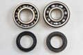 MAIN BEARING SEAL KIT 69-85 YAMAHA AT ATM CT DT IT MX TY YZ 100 125 175 VINTCO KMB023