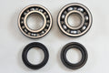 MAIN BEARING AND SEAL KIT 76-81 YAMAHA IT MX TZ YZ X 100 125 175 VINTCO KMB024