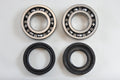 MAIN BEARING AND SEAL KIT 74-81 YAMAHA DT IT MX TY YZ 250 VINTCO KMB025