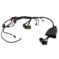 WIRING HARNESS OFF-ROAD SURRON LIGHT BEE X S SEGWAY X160 X260