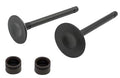 VALVE & SEAL EXHUAST INTAKE KIT 2000-2018 YAMAHA TTR 125 L E LE 5VL-E2111-00-00 1JP-E2111-00-00