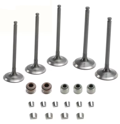 INTAKE & EXHAUST VALVE KIT 20PCS YAMAHA WR450F YZ450F YFZ450 5TA-12112-00 5TA-12121-00