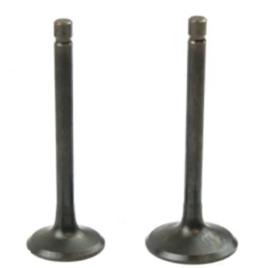 VALVES INTAKE & EXHAUST YAMAHA YBR125 YBR TTR XT 125 125CC 5VL VALVE LENGTHS 64 & 63.5mm