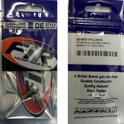 TITANIUM ALLEN BOLT M6x15, GRADE 5 TI - PACK OF 2