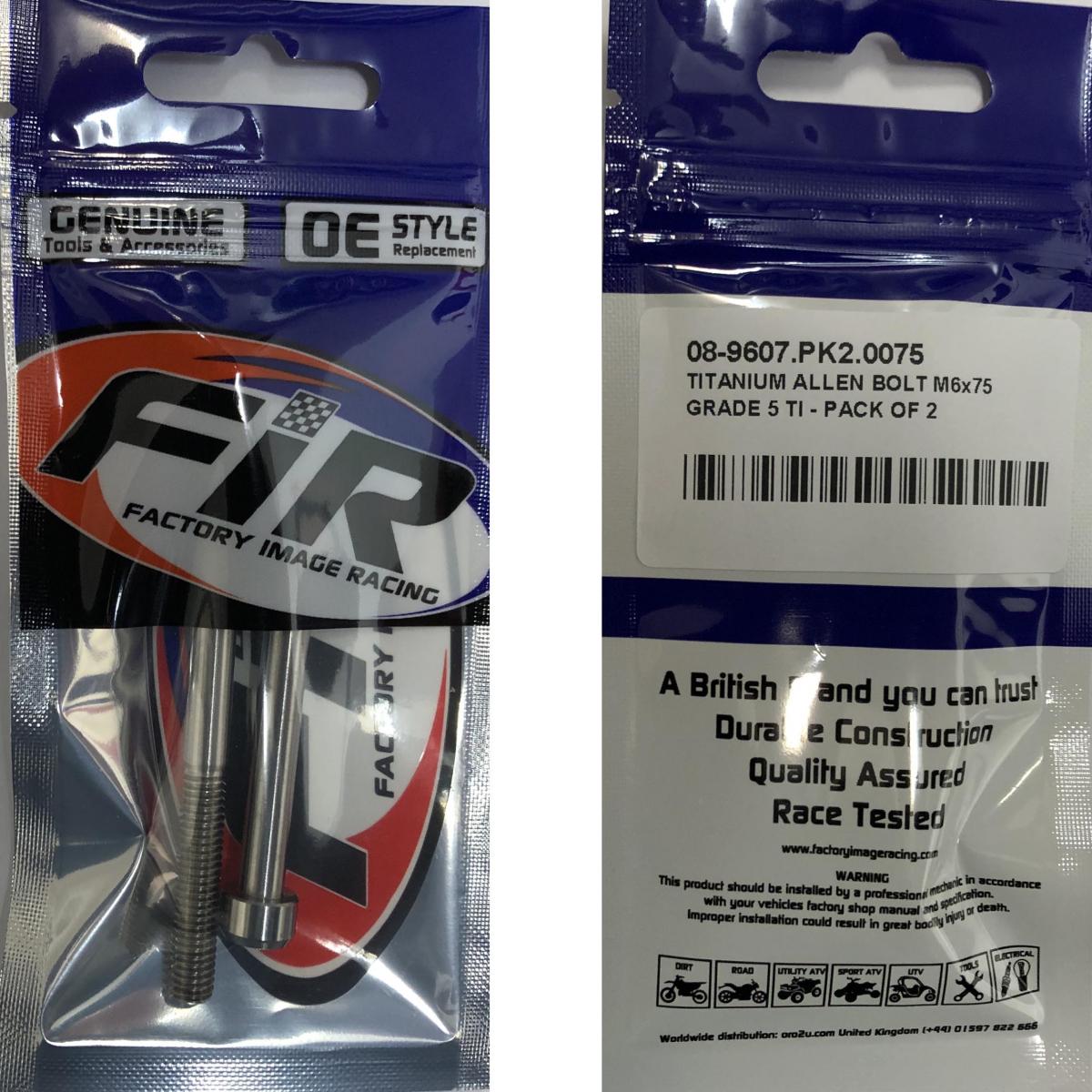 TITANIUM ALLEN BOLT M6x75, GRADE 5 TI - PACK OF 2