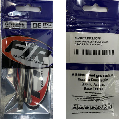 TITANIUM ALLEN BOLT M6x75, GRADE 5 TI - PACK OF 2