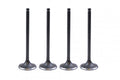 VALVE SET-4 EXHAUST + INTAKE 1999-2014 HONDA TRX400 14761-KG0-003 14751-KCY-670