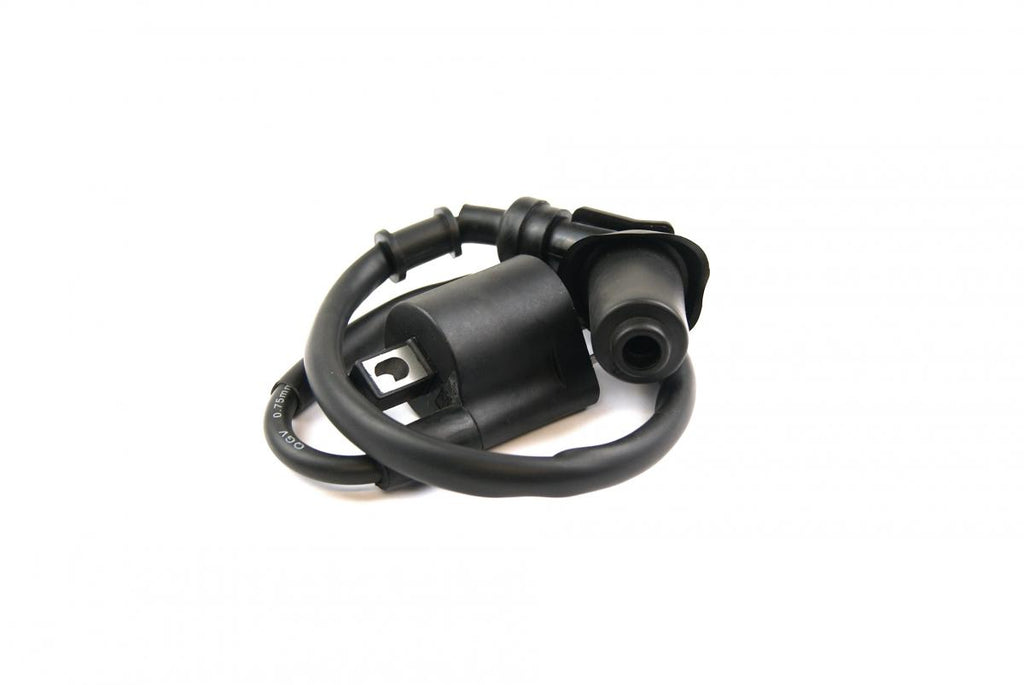 COIL HT IGNITION ETON, 650455
