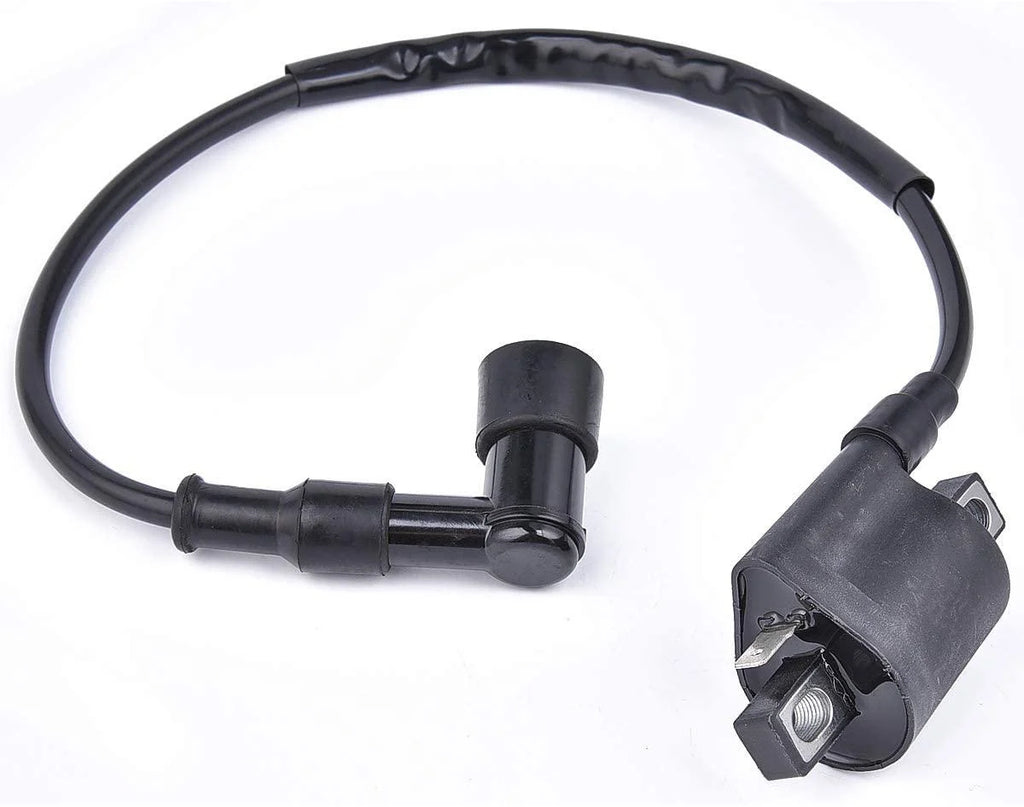 COIL IGNITION HT & CAP, 21121-1170, 21121-1126, 21121-1230.,